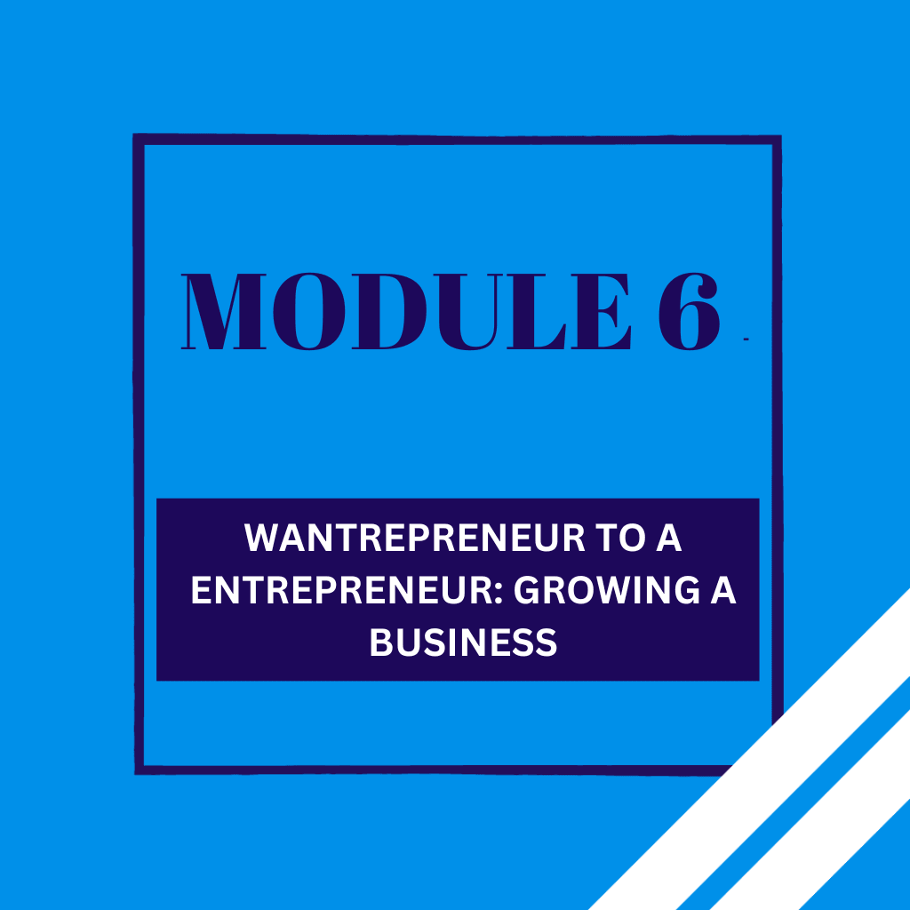 Module 6 - Wantrepreneur To Entrepreneur: Building A Business - FROM THE BLOCK TO THE BOARDROOM MARKETING AGENCY